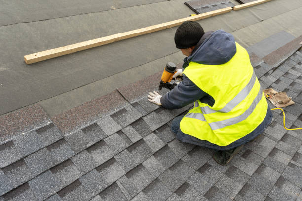 Best Metal Roofing Contractor  in Forest City, NC