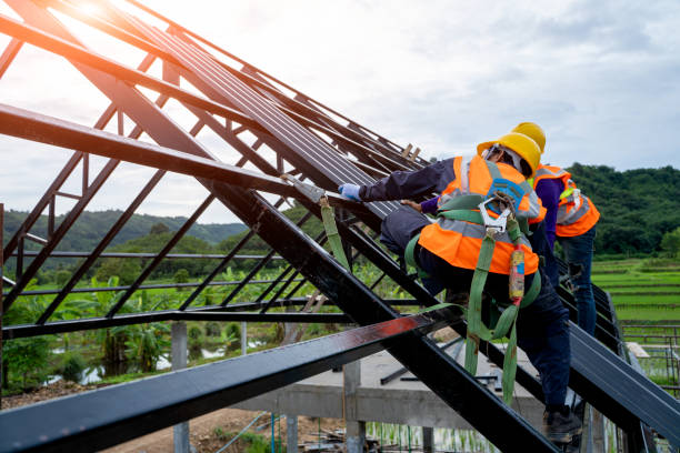 Roof Gutter Cleaning in Forest City, NC
