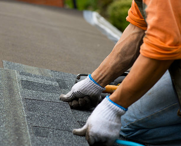 Best Metal Roofing Contractor  in Forest City, NC